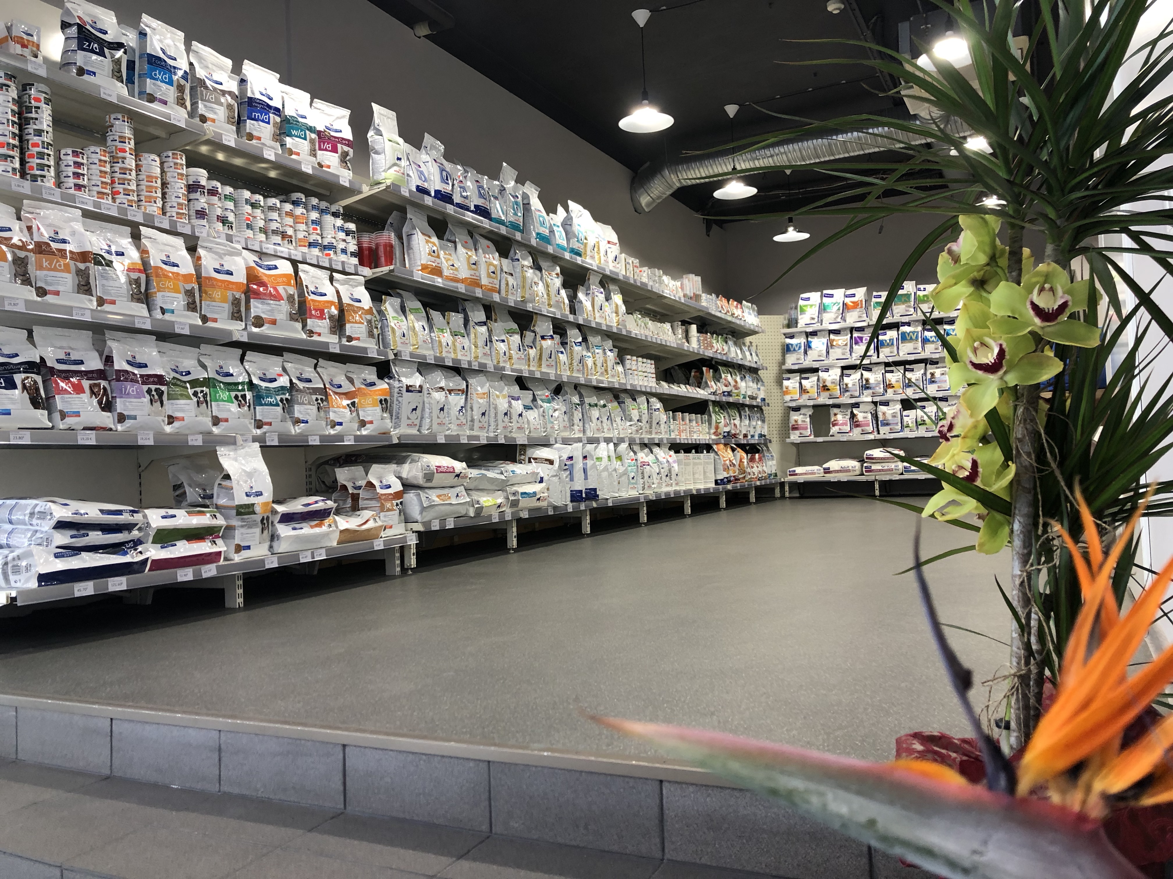 JlMQIrmFTgG8UoBYqh0cg